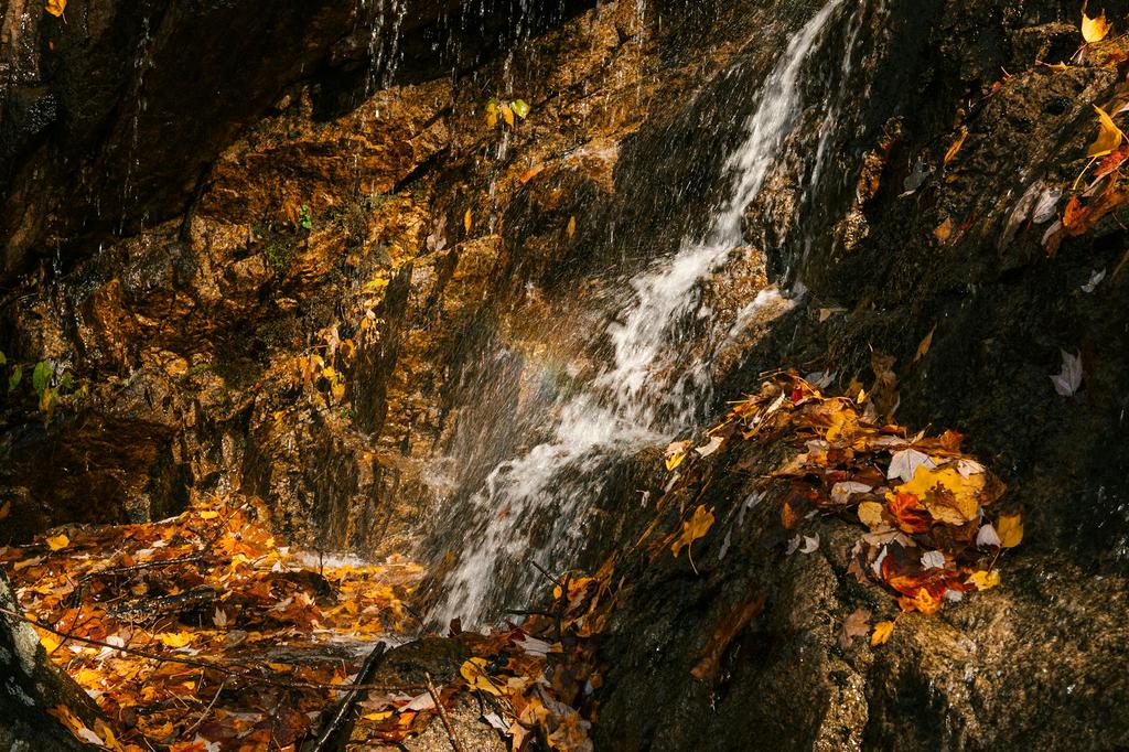 Acid Mine Drainage in Stream